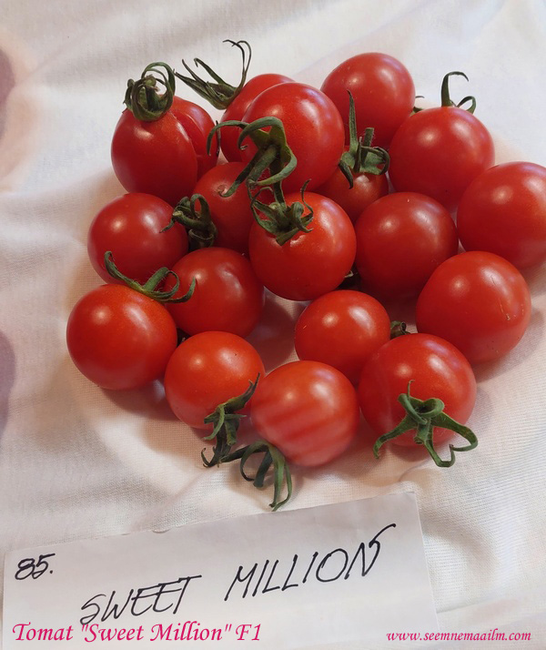 tomato sweet million